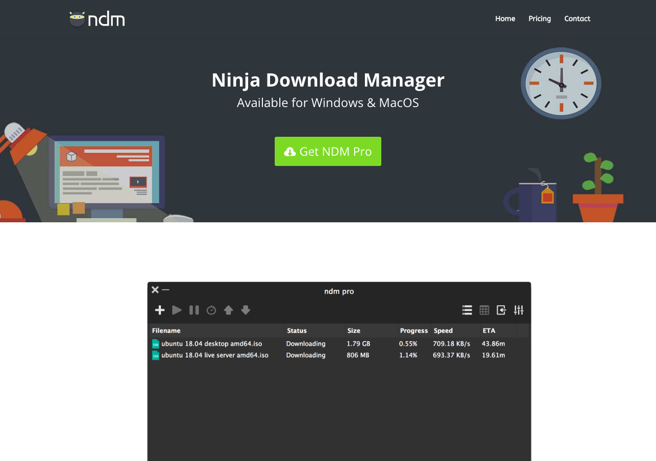 Ninja Download Manager